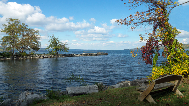 View of Cayuga Lake in New York with a wooden bench facing the lake during the day.