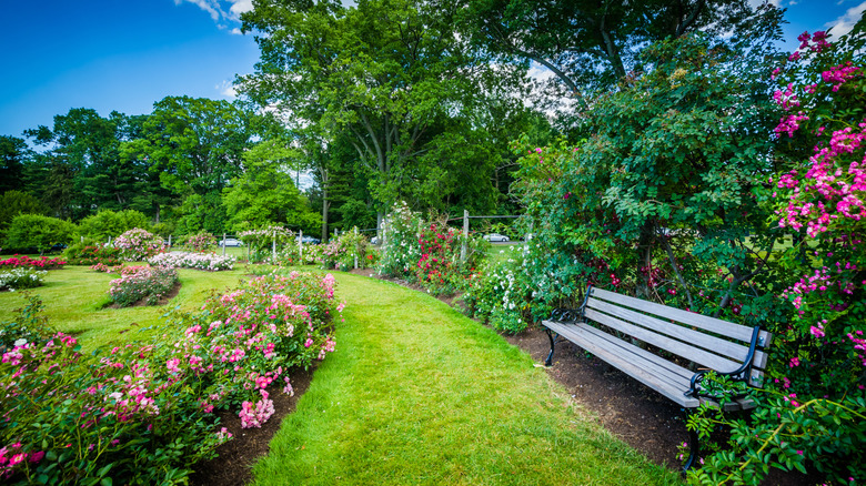 Bench surrounded by greenery and flowers at Elizabeth Park