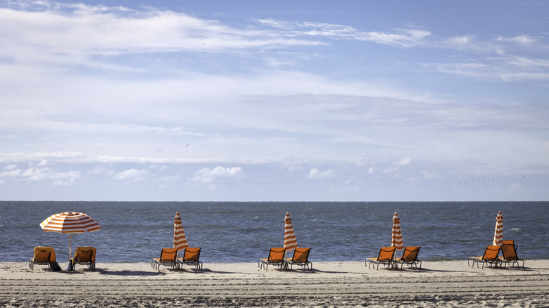 Chairs and umbrellas on the beach in Cape May
