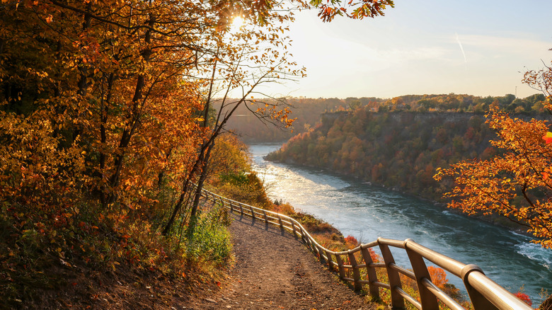 Tree-lined trail with railing along it and water below at Devil's Hole State Park in New York