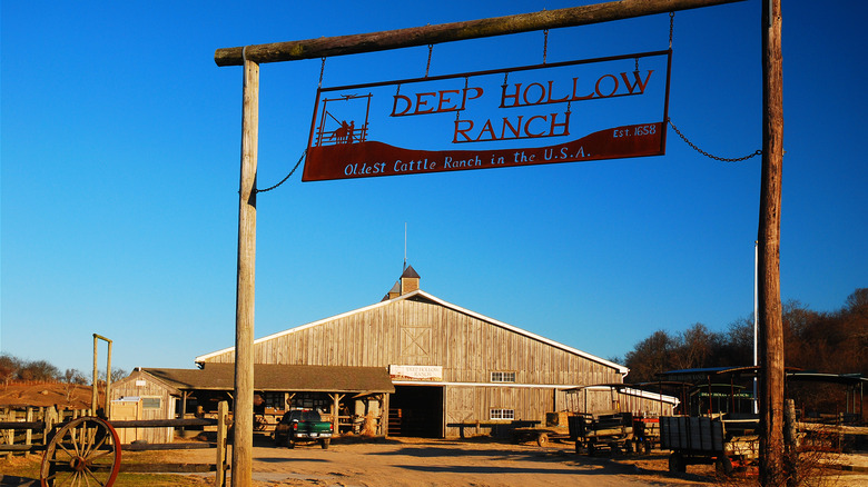 View of the entrance gate at Deep Hollow Ranch