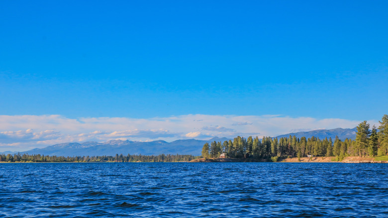 View from Lake Cascade near Tamarack Resort Idaho