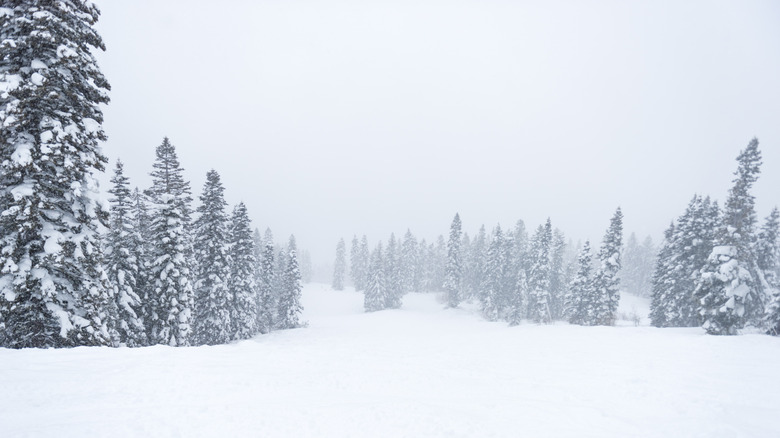 A snowy ski slope at Tamarack Resort in Idaho