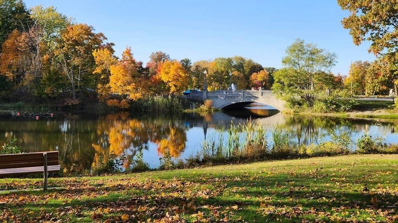 Riverside lined with beautiful trees close to a bridge at Buhl Park