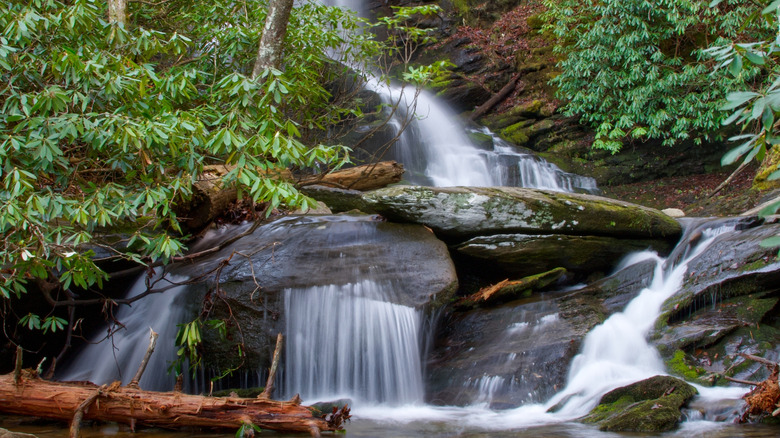 Catawba Falls, North Carolina, surrounded by trees
