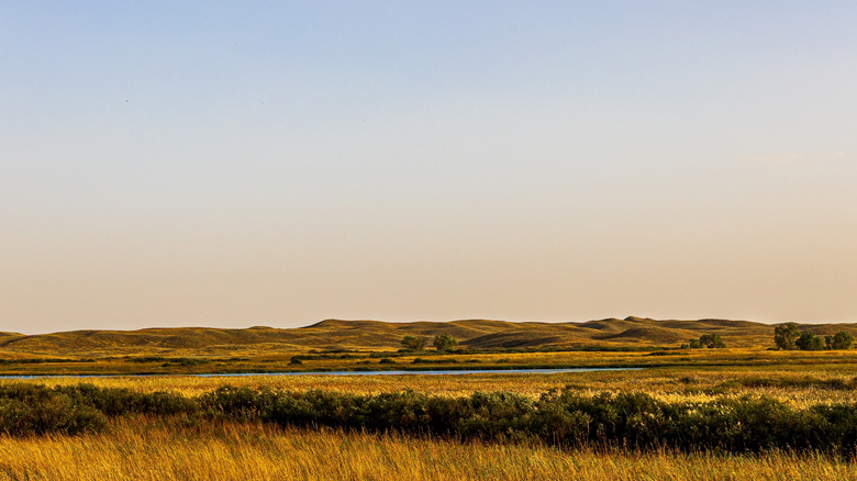 Countryside scenery on Highway 83