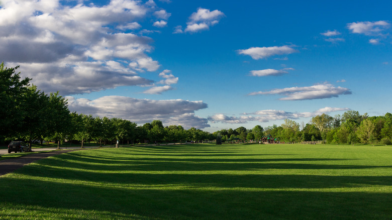 Large green space surrounded by trees and playground in Fishers.