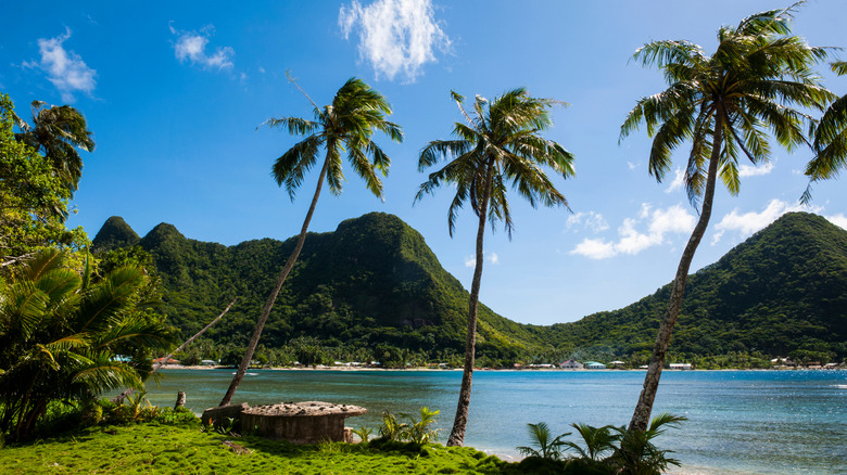 lush tropical island with palm trees