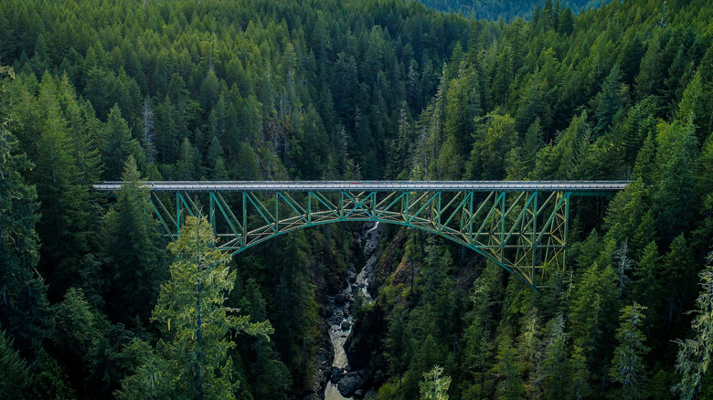 Washington's High Steel Bridge over South Fork Skokomish River