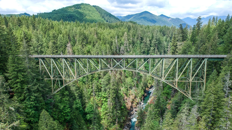 Washington's High Steel Bridge in the forest over South Fork Skokomish River