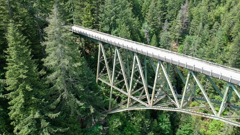 Part of Washington's High Steel Bridge surrounded by trees