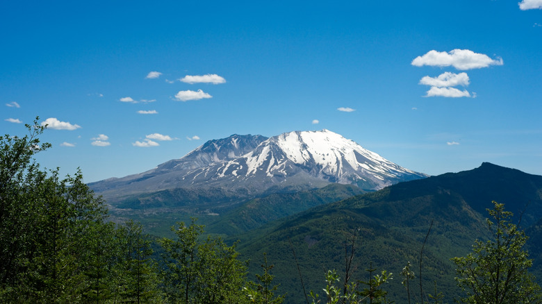 Snow-capped Mount St. Helens green trees below