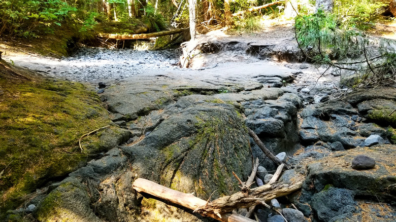 Hard lava outside Ape Cave in Washington