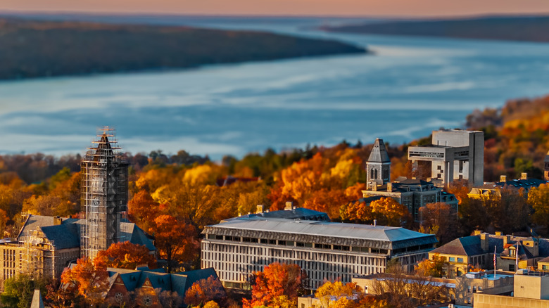 The city of Ithaca, New York, surrounded by fall foliage