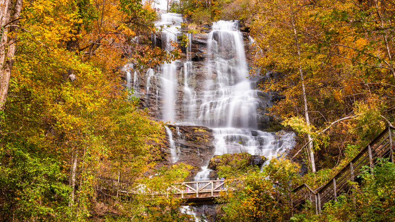 Amicalola Falls in Amicalola Falls State Park, Georgia