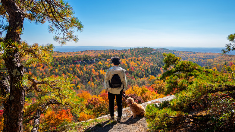 A woman and her dog standing on a mountain ledge overlooking fall foliage