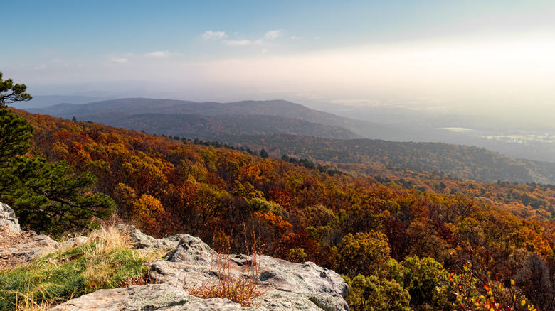 Fall colors in the Ozarks of Arkansas