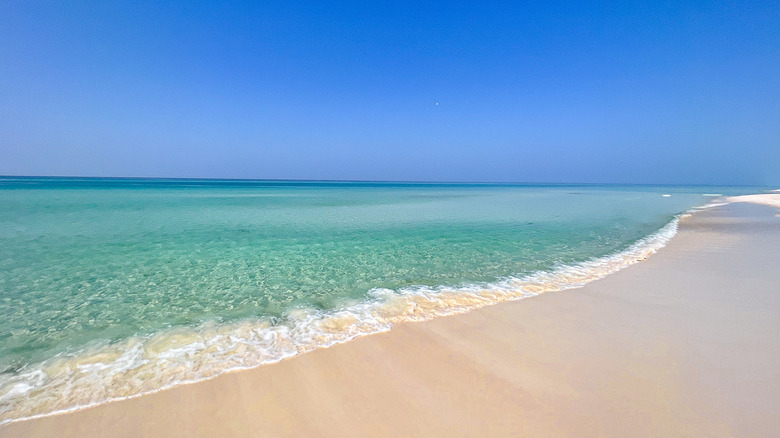 A beach in 30A in Florida