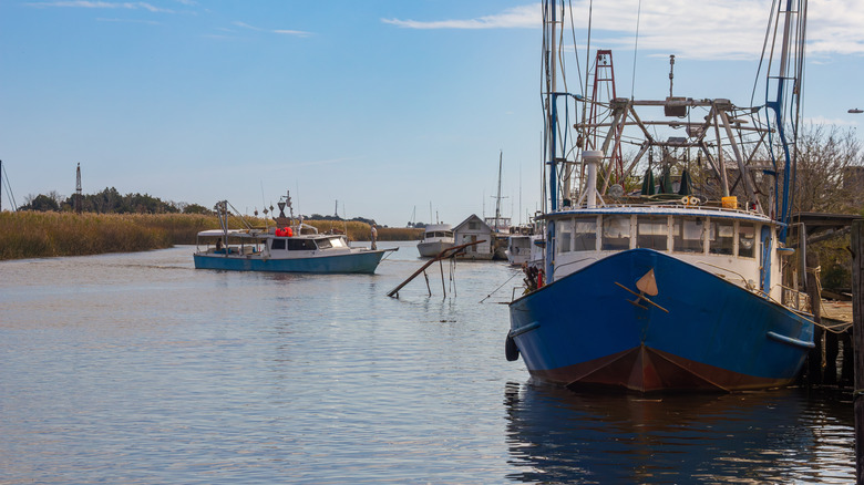 Boats in Apalachicola River
