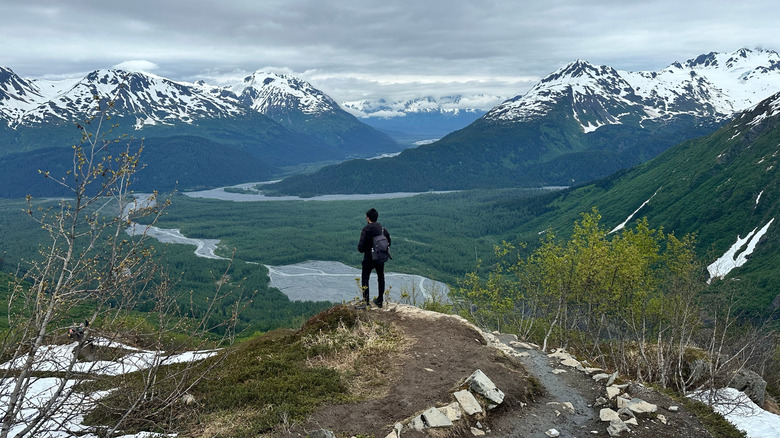 Exit Glacier from Harding Ice Filed