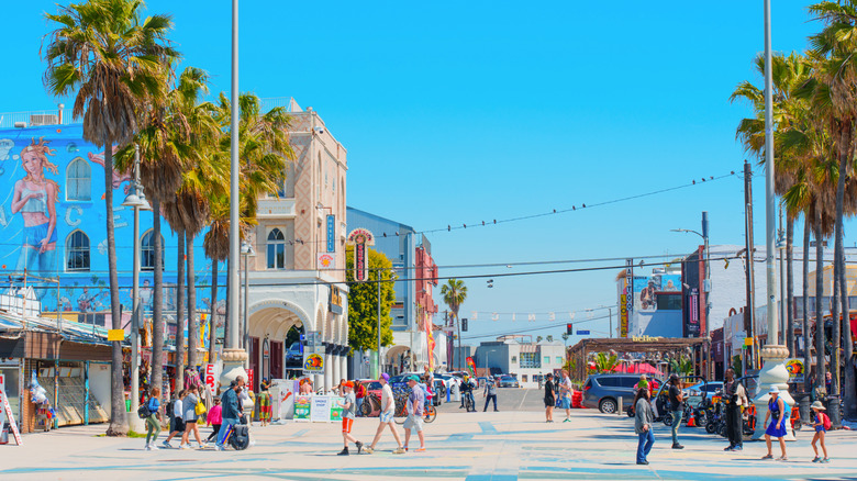 Street view of the Venice district in Los Angeles, California