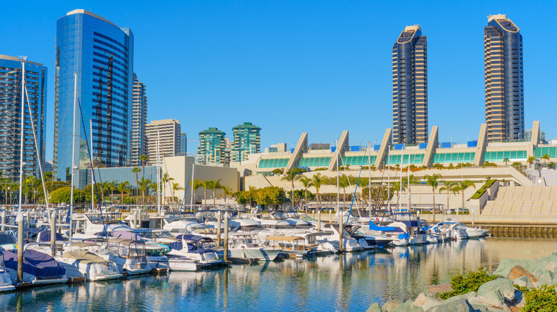 A marina full of docked yachts in San Diego, California