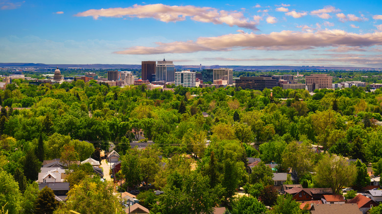 Skyline of Boise, Idaho, lush with trees