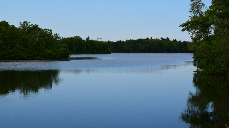 Trees reflect in the waters of Cleveland Pond, just south of Boston, Massachusetts