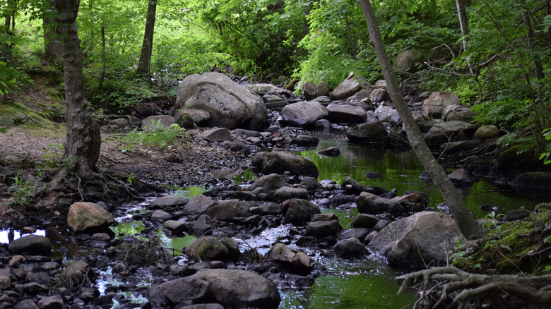 A brook trickles through rocks in Ames Nowell State Park, Massachusetts