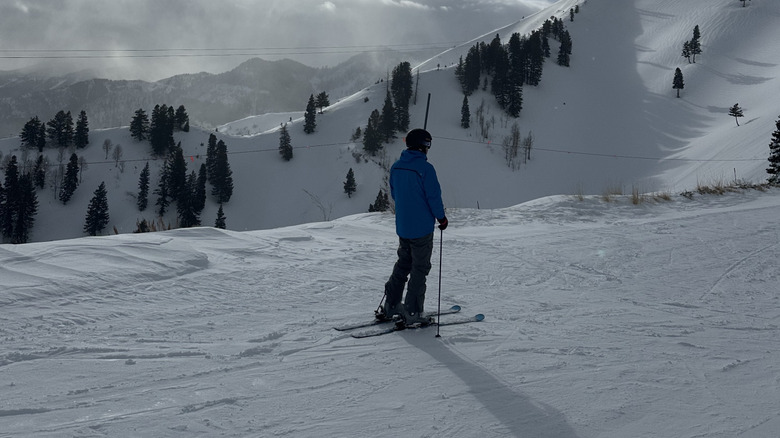 A skiier enjoying fresh powder at Sundance Ski Resort