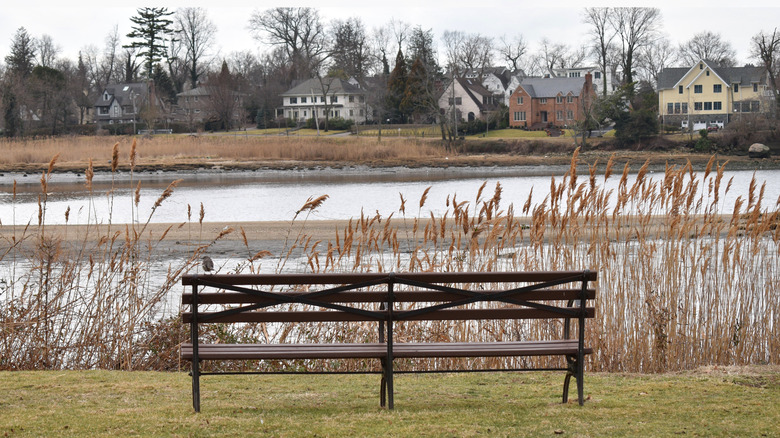A bench in a park in Great Neck Plaza, New York
