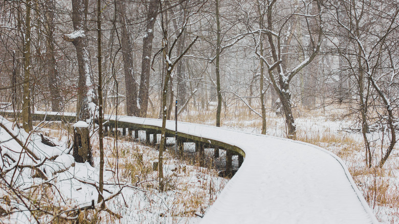 Snow on a boardwalk in Toledo, Ohio