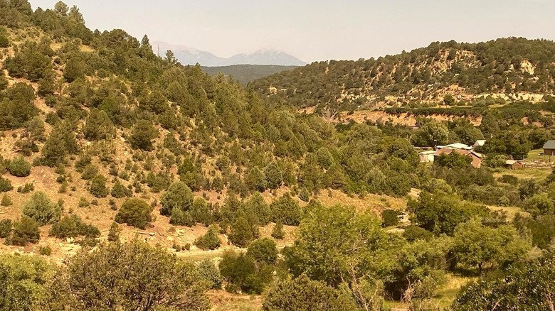 Photo of hills and trees in southeast Colorado