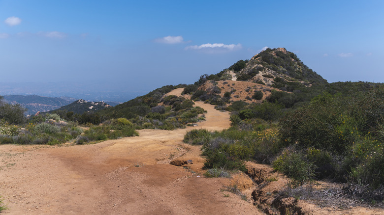 Dirt trail leading to the Topanga Lookout in the Santa Monica Mountains
