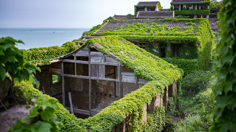 Several decriept, plant-covered buildings near the ocean in Houtouwan, China