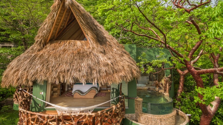 Treetop suite amids jungle foliage