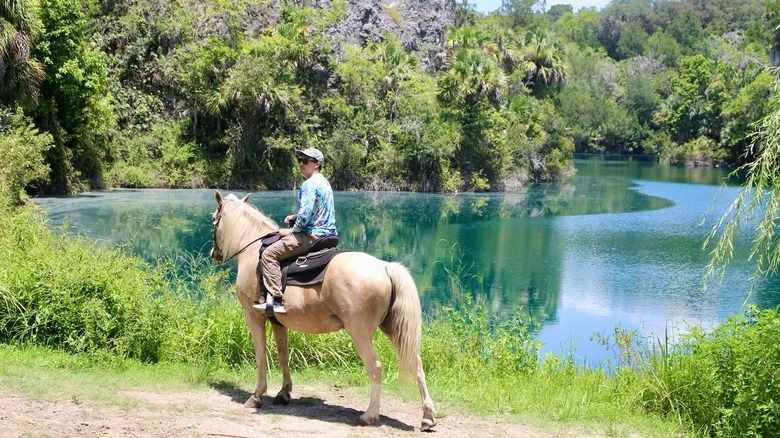 A man on horse a by water