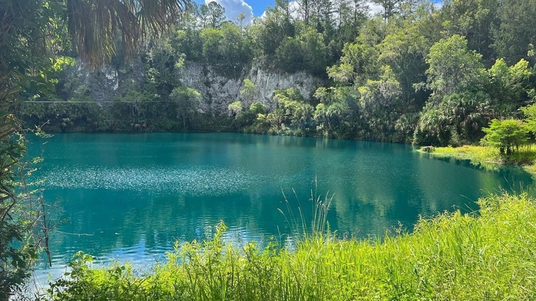 Blue water surrounded by grass, trees, and canyons