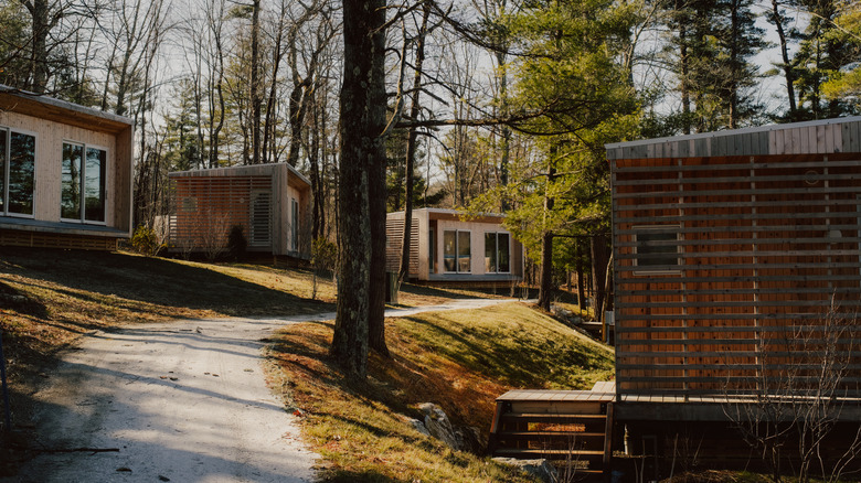 View of Prospect Berkshires cabins in the forest