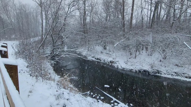 Snowy creek at Sarah T. Bolton Park