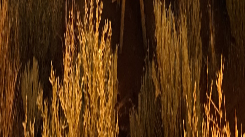 People sitting on patio of glamping tent at Cane Beds Corral in Colorado City
