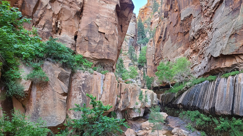Water Canyon Trail near Colorado City, Arizona, with red rocks and greenery