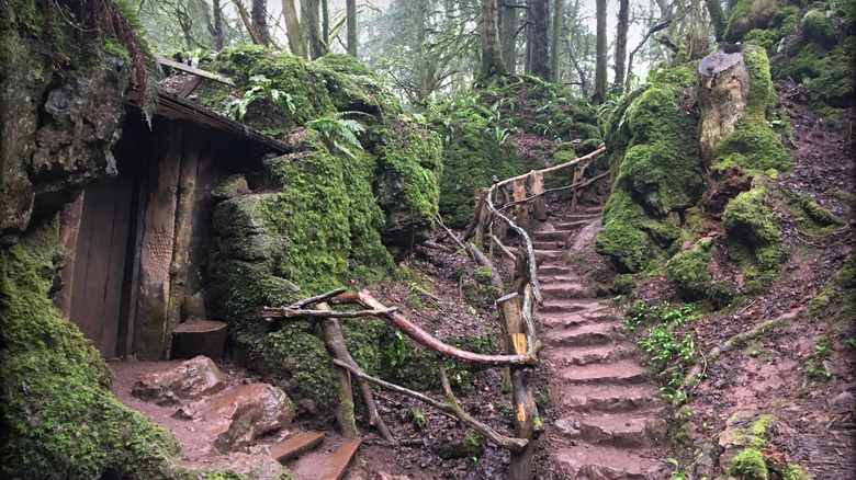 Steps down to a wooden doorway in Puzzlewood