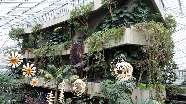 Tropical plants growing from concrete balconies in the Barbican Conservatory