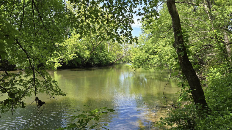 view from Mounds State Park, Anderson, Indiana