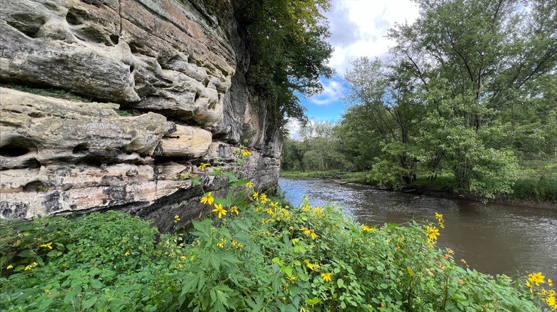 Limestone rock bluff above the Wisconsin River, with wildflowers blooming by the water at Tower Hill State Park, Wisconsin