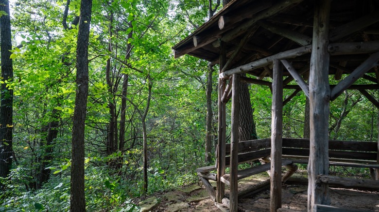 Old wooden gazebo in the forest at Tower Hill State Park, Wisconsin