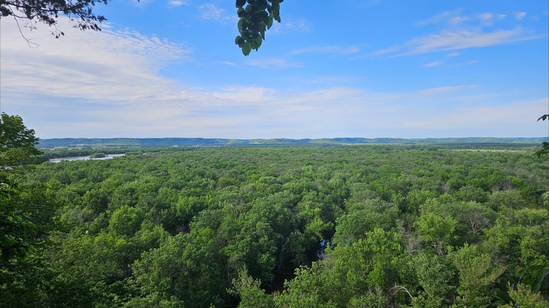 The forest views under a partly cloudy sky from Tower Hill State Park's shot tower in Wisconsin