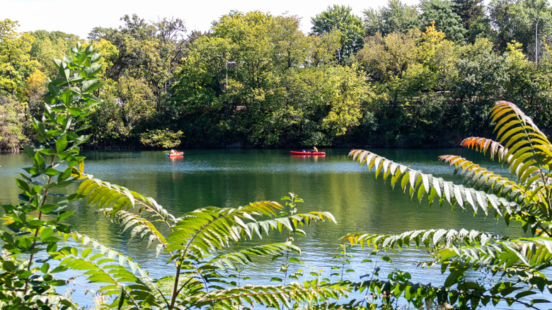 Kayaks on the river