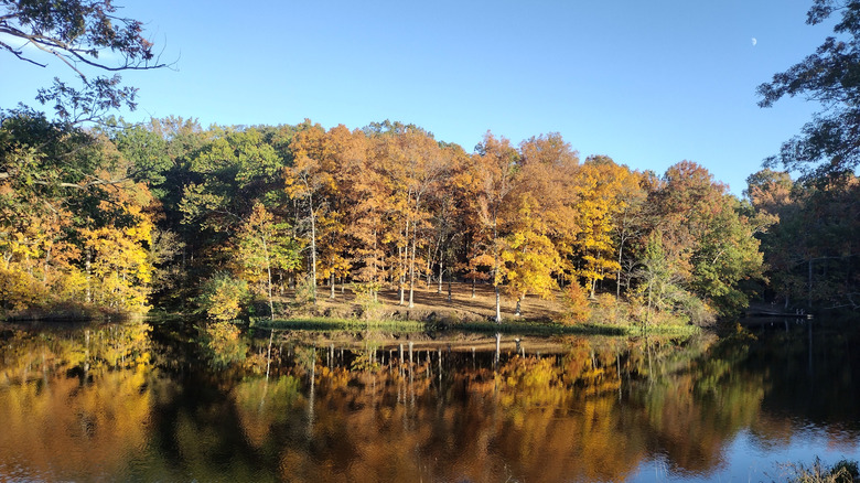 Autumnal trees reflected in the Des Plaines river
